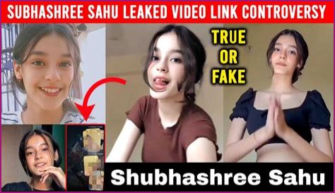 Subhshree Sahu Viral Video: The Rise Of A Social Media Sensation